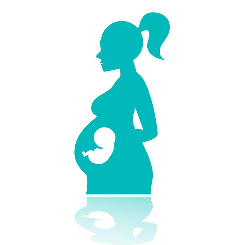 Service Obstetrics and Gynecology Clinic Image