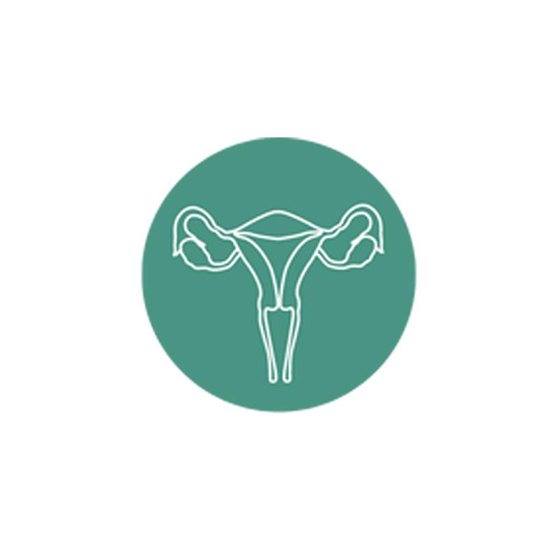 Service Obstetrics and Gynecology Clinic Image