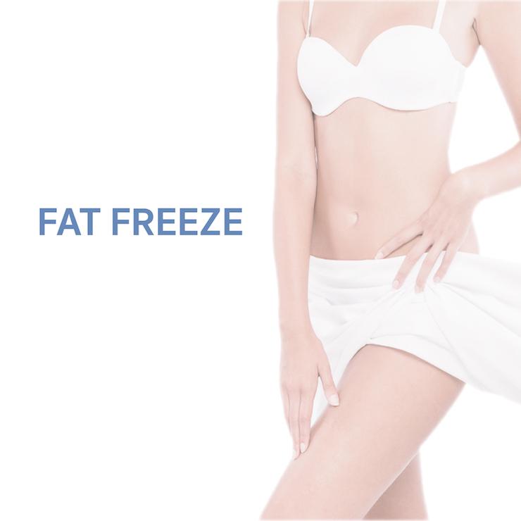 Service Fat Freeze Image