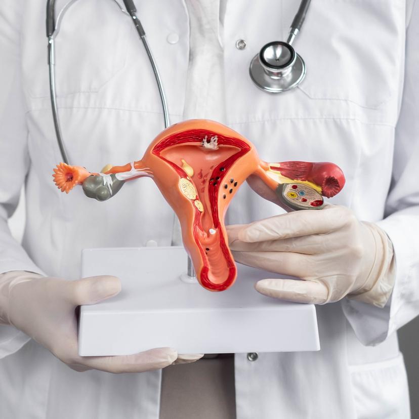 Service Obstetrics/Gynecology Clinic Image