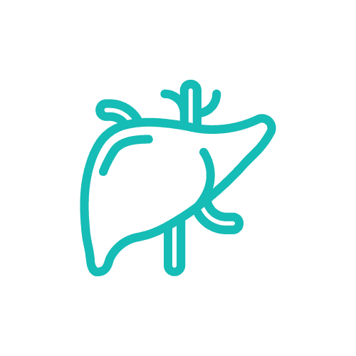 Service HEPATO-BILIARY AND PANCREAS CLINIC: Comprehensive Liver and Pancreatic Care Image