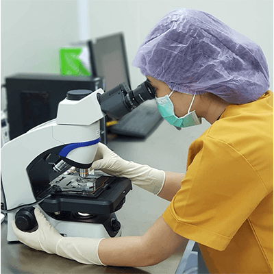 Service Embryo biopsy with PGT technique Image