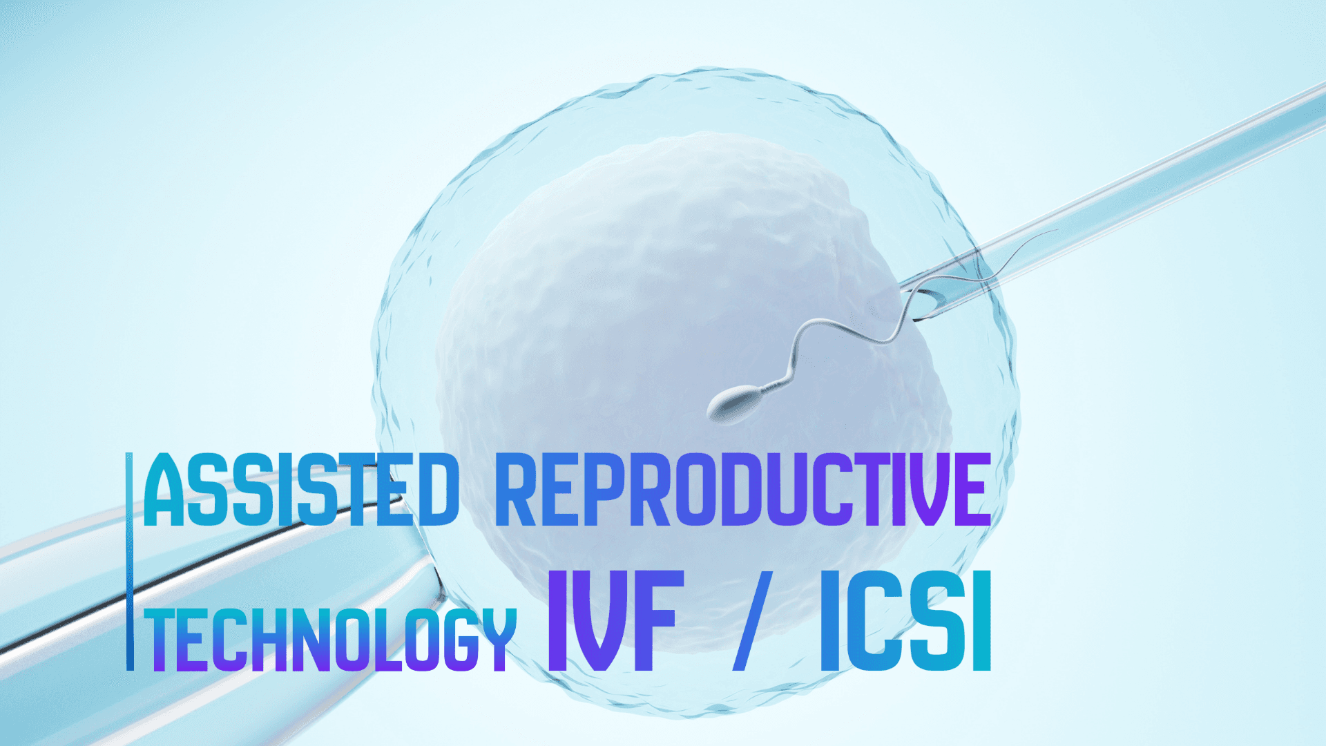 Blog: Assisted Reproductive Technology (IVF / ICSI)