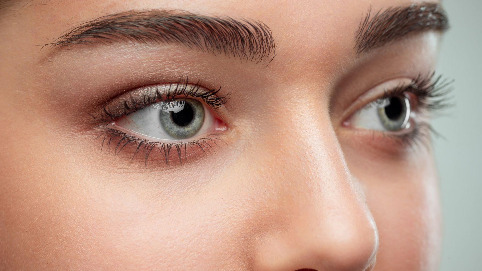 Blog: Eyelid Warming and Lid Hygiene: An Essential Treatment for Meibomian Gland Dysfunction and Blepharitis